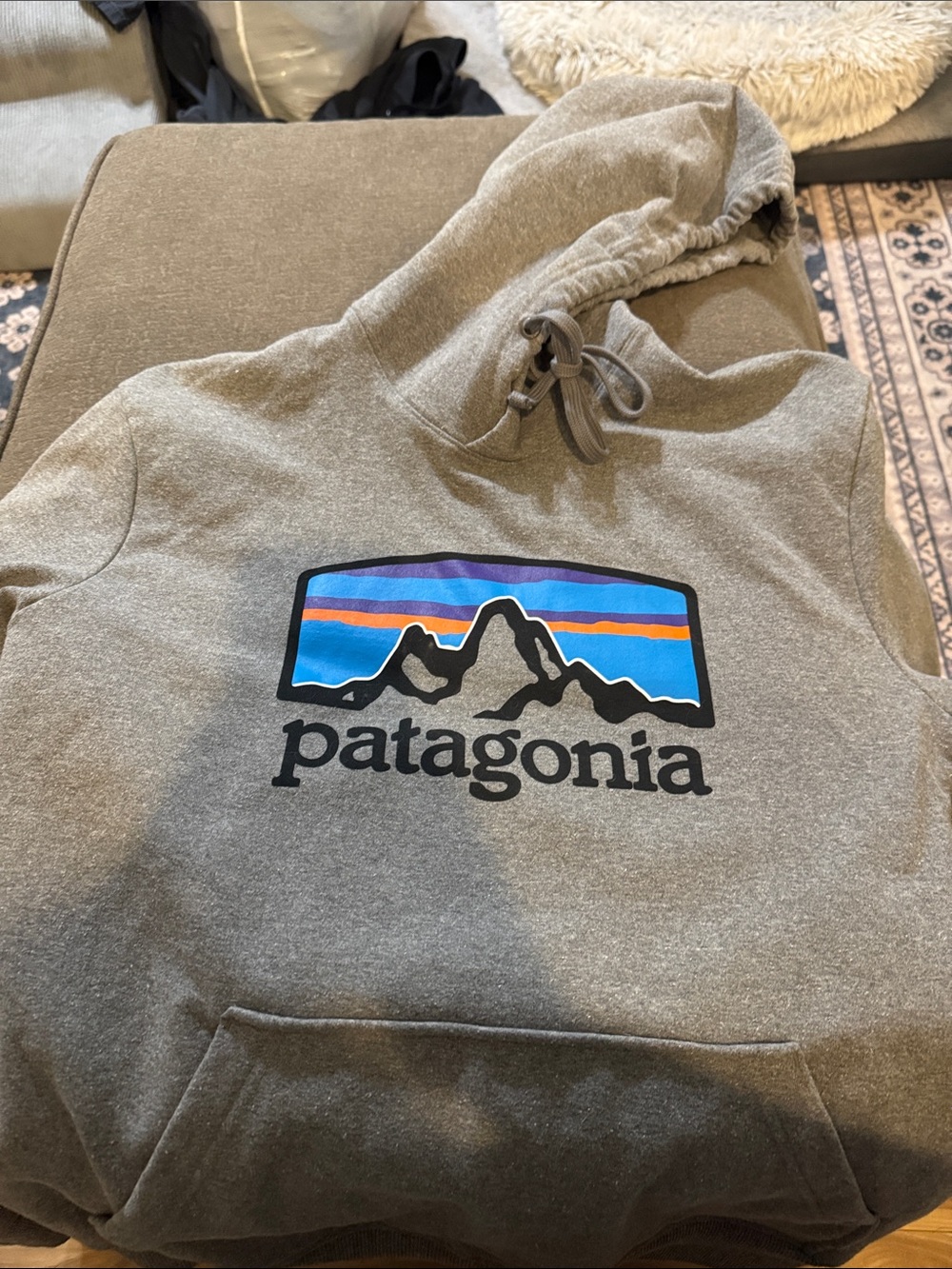 Men’s Patagonia hoodie